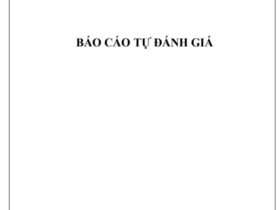 BÁO CÁO TỰ ĐÁNH GIÁ